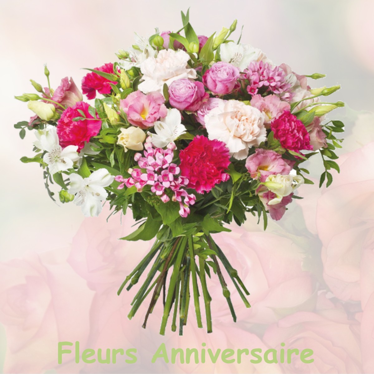 fleurs anniversaire PEYRAT-LA-NONIERE